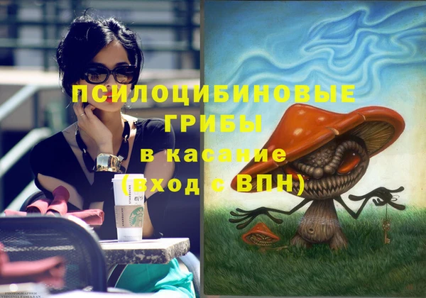 МДПВ Богородск